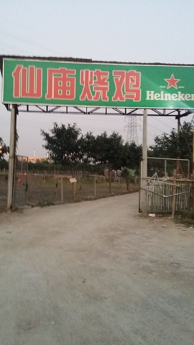 圖片